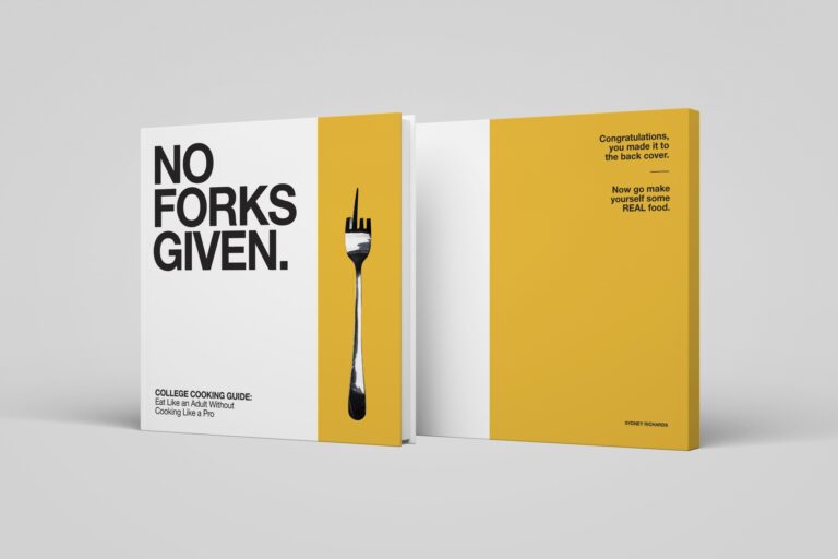art342 guidebook cover mockup